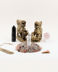 2026 Nine Palaces Flying Stars Starter Bundle