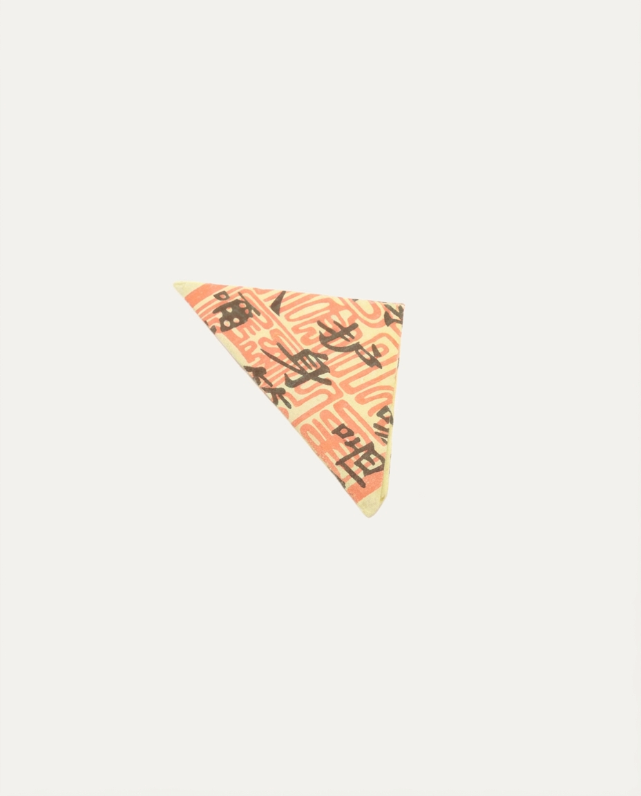 Zodiac Protection Amulet 2026