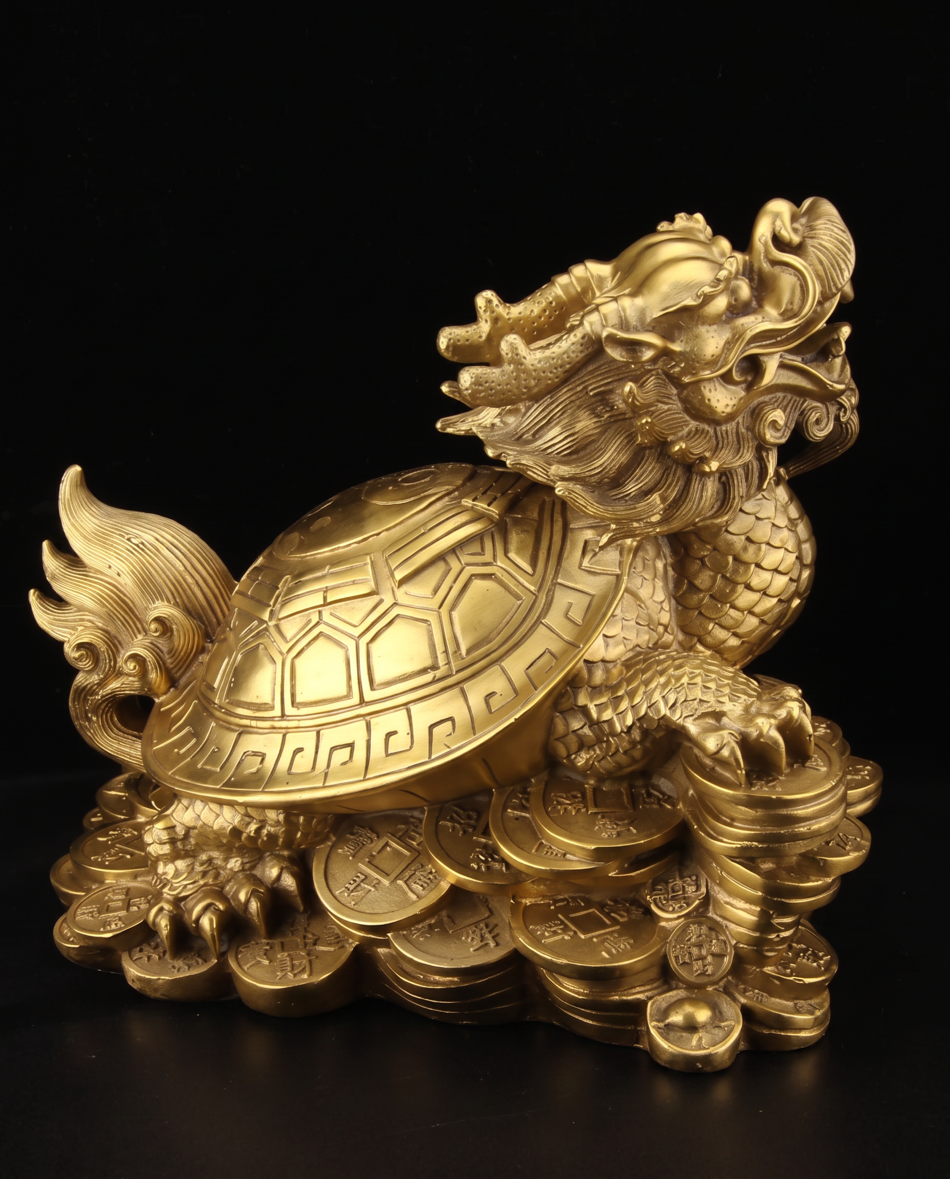 Dragon Turtle photo 5