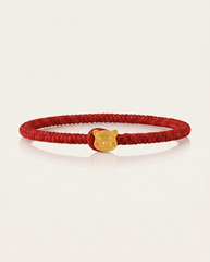 pure-silver-pixiu-red-string-bracelet-copy