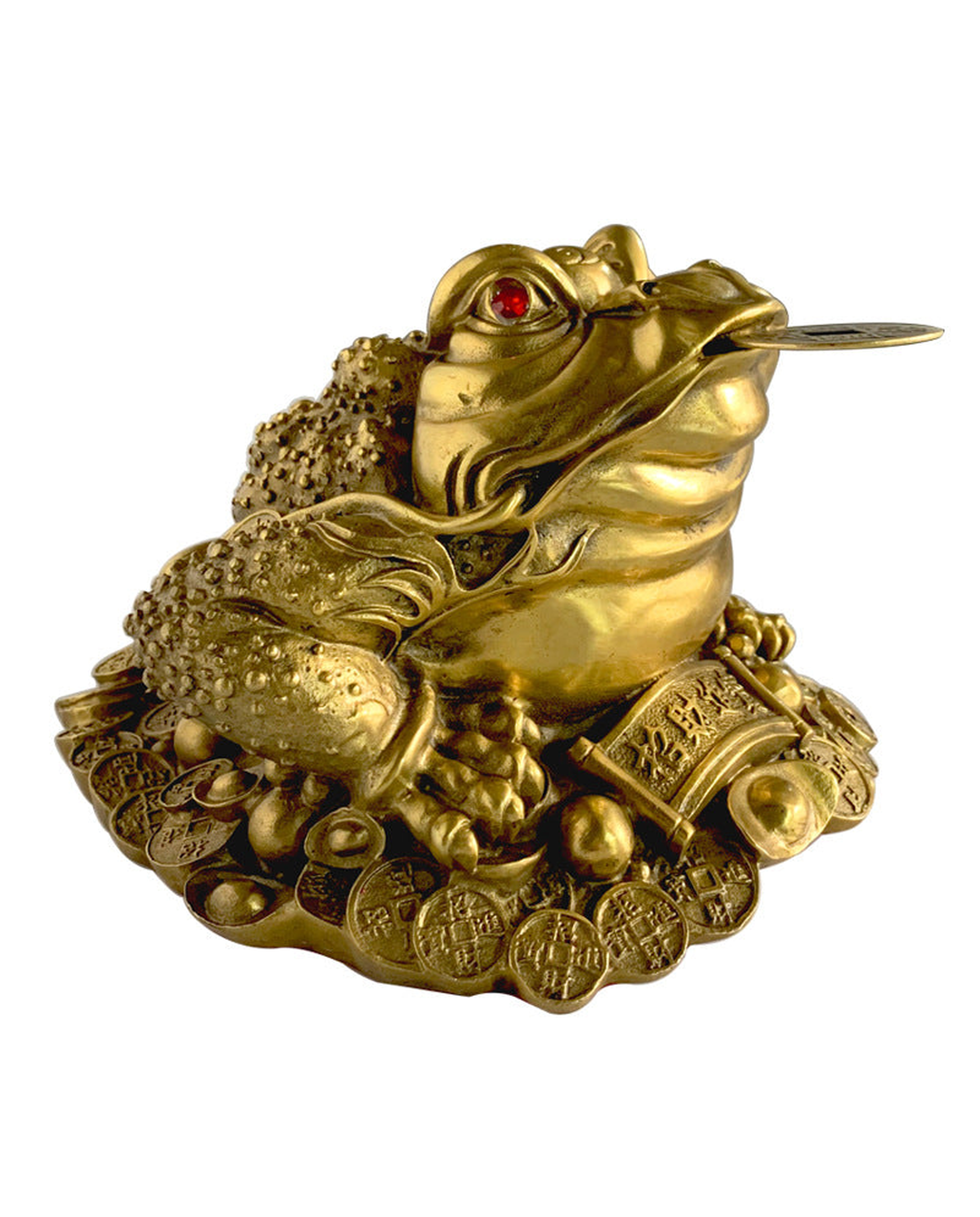 three legged toad
