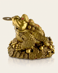 Three Legged Toad photo 3
