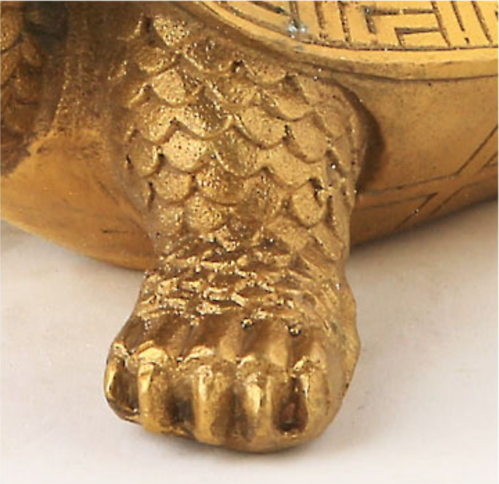 Dragon Turtle with Hulu